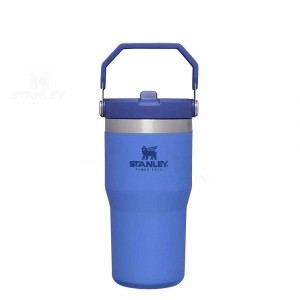 Stanley The IceFlow Flip Straw | 20 OZ Tumblers | Nederland_S1593