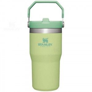 Stanley The IceFlow Flip Straw | 20 OZ Tumblers | Nederland_S2291