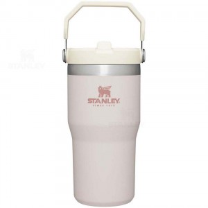 Stanley The IceFlow Flip Straw | 20 OZ Tumblers | Nederland_S1328