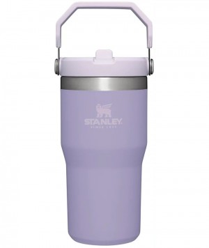 Stanley The IceFlow Flip Straw | 20 OZ Tumblers | Nederland_S1713