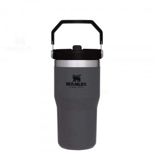Stanley The IceFlow Flip Straw | 20 OZ Tumblers | Nederland_S1291