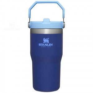 Stanley The IceFlow Flip Straw | 20 OZ Tumblers | Nederland_S2176