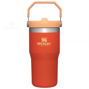 Stanley The IceFlow Flip Straw | 20 OZ Tumblers | Nederland_S2201