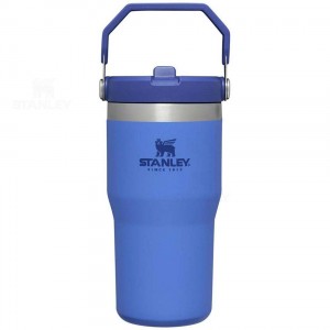 Stanley The IceFlow Flip Straw | 20 OZ Tumblers | Nederland_S1121
