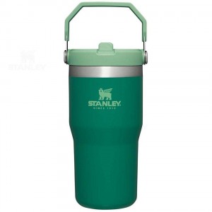 Stanley The IceFlow Flip Straw | 20 OZ Tumblers | Nederland_S1272