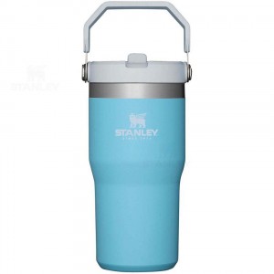Stanley The IceFlow Flip Straw | 20 OZ Tumblers | Nederland_S1555