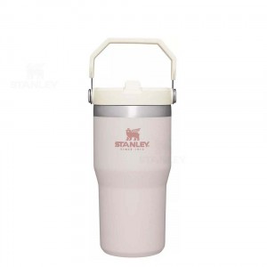 Stanley The IceFlow Flip Straw | 20 OZ Waterflessen | Nederland_S1581