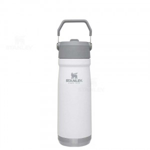 Stanley The IceFlow Flip Straw | 22 OZ Tumblers | Nederland_S1592