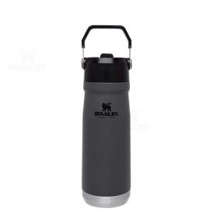 Stanley The IceFlow Flip Straw | 22 OZ Tumblers | Nederland_S1224