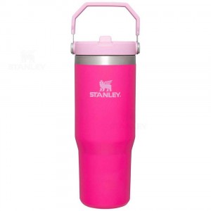 Stanley The IceFlow Flip Straw | 30 OZ Tumblers | Nederland_S1706