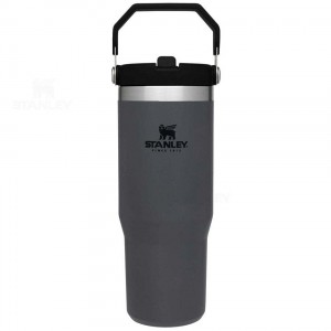 Stanley The IceFlow Flip Straw | 30 OZ Tumblers | Nederland_S2227