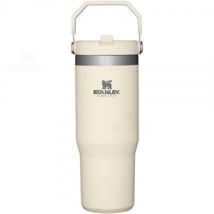 Stanley The IceFlow Flip Straw | 30 OZ Tumblers | Nederland_S1408