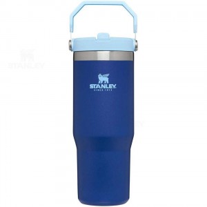 Stanley The IceFlow Flip Straw | 30 OZ Tumblers | Nederland_S1134