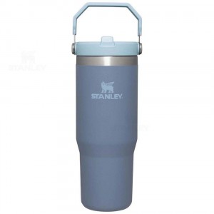 Stanley The IceFlow Flip Straw | 30 OZ Tumblers | Nederland_S1653