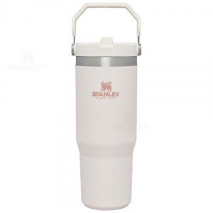 Stanley The IceFlow Flip Straw | 30 OZ Tumblers | Nederland_S1641