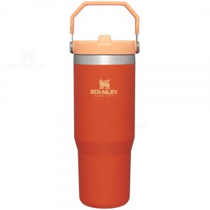 Stanley The IceFlow Flip Straw | 30 OZ Tumblers | Nederland_S1021