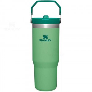 Stanley The IceFlow Flip Straw | 30 OZ Tumblers | Nederland_S2153