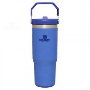 Stanley The IceFlow Flip Straw | 30 OZ Tumblers | Nederland_S1567