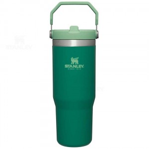 Stanley The IceFlow Flip Straw | 30 OZ Tumblers | Nederland_S2149