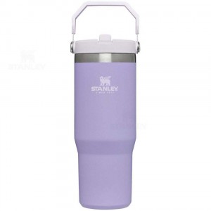 Stanley The IceFlow Flip Straw | 30 OZ Tumblers | Nederland_S1454