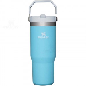 Stanley The IceFlow Flip Straw | 30 OZ Tumblers | Nederland_S2352