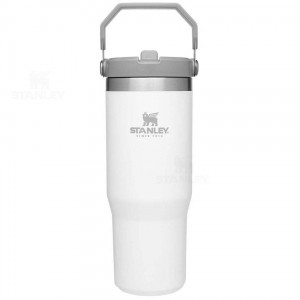 Stanley The IceFlow Flip Straw | 30 OZ Waterflessen | Nederland_S2011