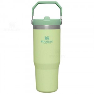 Stanley The IceFlow Flip Straw | 30 OZ Waterflessen | Nederland_S1462