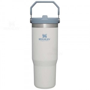 Stanley The IceFlow Flip Straw | 30 OZ Waterflessen | Nederland_S1149
