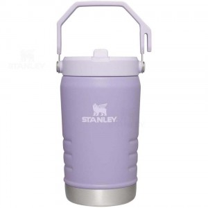 Stanley The IceFlow Flip Straw | 40 OZ Jugs | Nederland_S1249