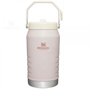 Stanley The IceFlow Flip Straw | 64 OZ Jugs | Nederland_S1936