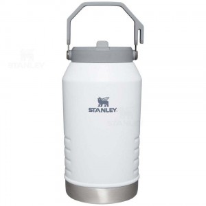 Stanley The IceFlow Flip Straw | 96 OZ Jugs | Nederland_S2284