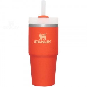 Stanley The Quencher H2.0 FlowState™ 14 OZ | Nederland_S2017