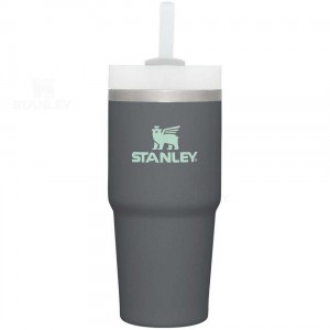 Stanley The Quencher H2.0 FlowState™ 14 OZ | Nederland_S1901