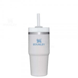 Stanley The Quencher H2.0 FlowState™ 14 OZ | Nederland_S2099