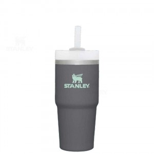 Stanley The Quencher H2.0 FlowState™ 14 OZ | Nederland_S1236