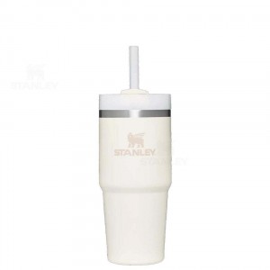 Stanley The Quencher H2.0 FlowState™ 14 OZ | Nederland_S1825