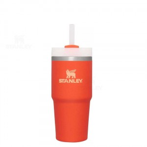 Stanley The Quencher H2.0 FlowState™ 14 OZ | Nederland_S1256