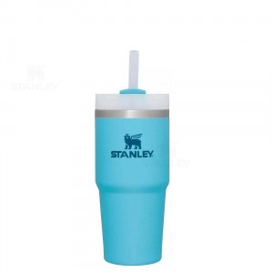 Stanley The Quencher H2.0 FlowState™ 14 OZ | Nederland_S1419