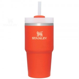 Stanley The Quencher H2.0 FlowState™ 20 OZ | Nederland_S1978