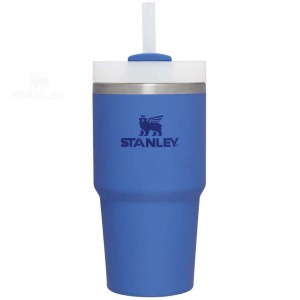 Stanley The Quencher H2.0 FlowState™ 20 OZ | Nederland_S2303