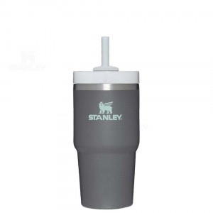 Stanley The Quencher H2.0 FlowState™ 20 OZ | Nederland_S1307