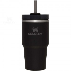Stanley The Quencher H2.0 FlowState™ 20 OZ | Nederland_S2215
