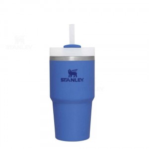 Stanley The Quencher H2.0 FlowState™ 20 OZ | Nederland_S1204