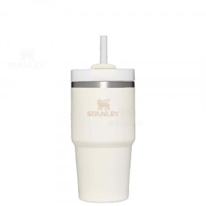 Stanley The Quencher H2.0 FlowState™ 20 OZ | Nederland_S1681