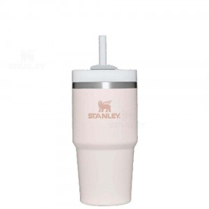 Stanley The Quencher H2.0 FlowState™ 20 OZ | Nederland_S1325