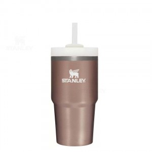 Stanley The Quencher H2.0 FlowState™ 20 OZ | Nederland_S1815