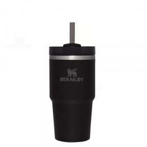 Stanley The Quencher H2.0 FlowState™ 20 OZ | Nederland_S2118