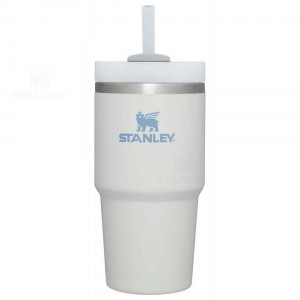 Stanley The Quencher H2.0 FlowState™ 20 OZ | Nederland_S1315
