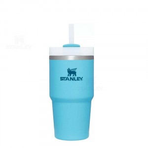 Stanley The Quencher H2.0 FlowState™ 20 OZ | Nederland_S1566