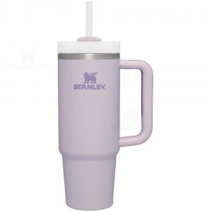 Stanley The Quencher H2.0 FlowState™ (Soft Matte) | 30 OZ Tumblers | Nederland_S1059